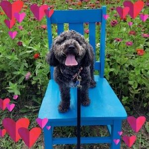 Meet your Posher, Lynne